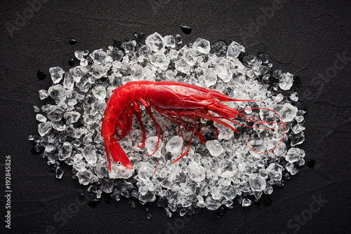Fresh big red shrimp on ice on a black stone table top view photo