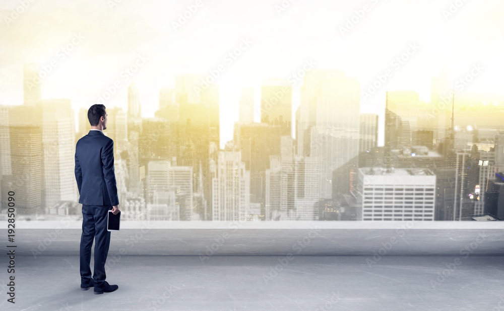 Businessman looking at a big city panorama Businessman looking at a big city panorama