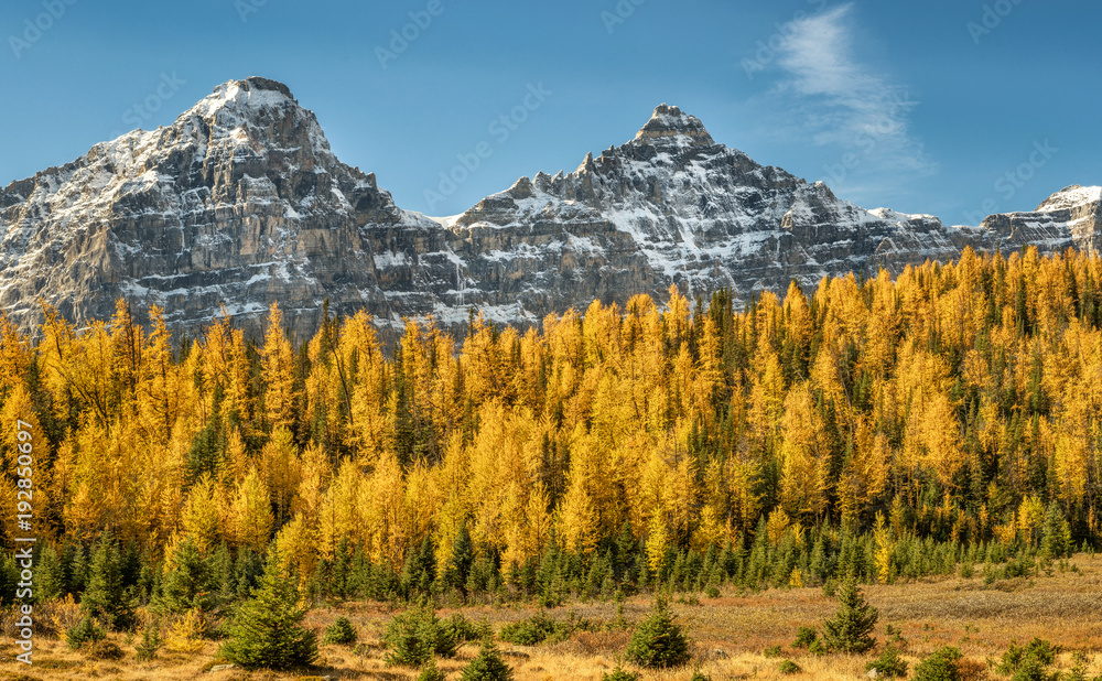 Autumn Larch Valley hike from Lake Moraine
