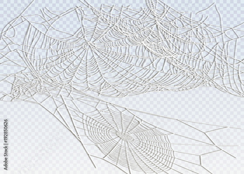 Collection of Cobweb, isolated on black, transparent background.