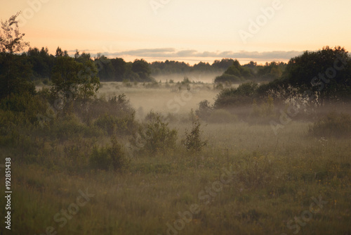 Landscape with a fog at sunrise. On the horizon of the forest and the village is buried in the clouds. Bright colorful morning in the springtime.