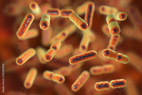 Bacteria Bacteroides fragilis, one of the major components of normal microbiome of human intestine, 3D illustration photo