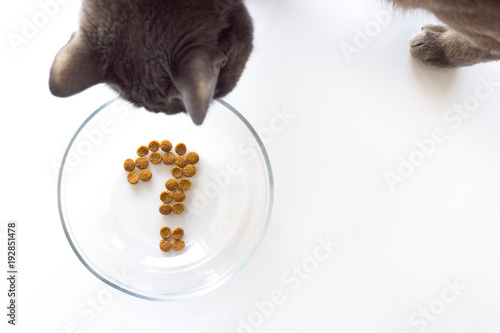 Cat wants to eat and looks in an empty bowl with a question. Question mark made of dry cat food in bowl on white background. Concept of choosing a dry food for pet.