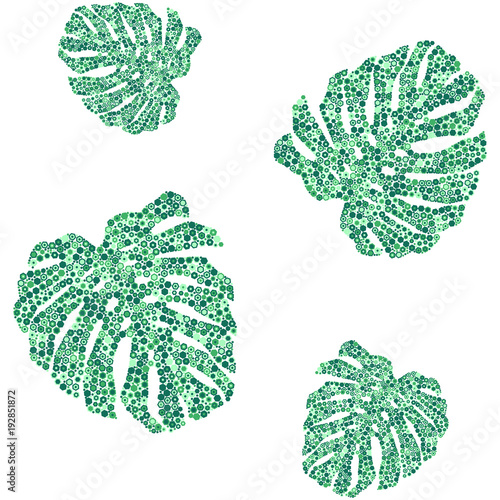 Seamless pattern of tropical monstera leaves. Green palm leaves on white background. Vector illustration. Jungle tropical foliage.