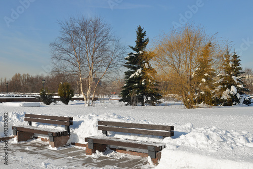 Winter Moscow. Benches in snow-covered park