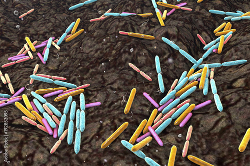 Soil bacteria of different species, the source of recently discovered antibiotic malacidin, 3D illustration