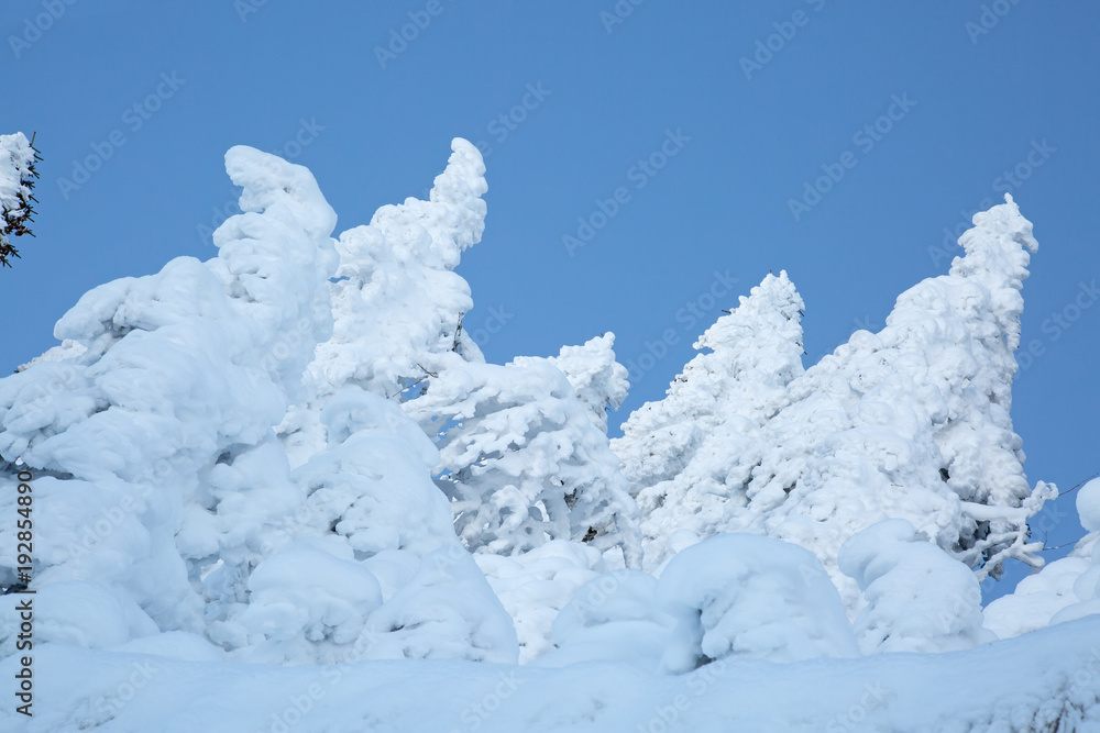 custom made wallpaper toronto digitalWinter in alps