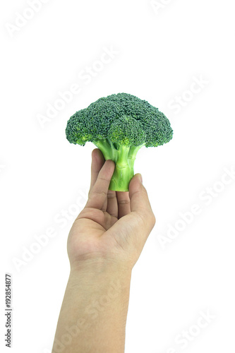 Hand of a man holding a broccoli isolated from a white background with spaces for writing text on with clipping path.