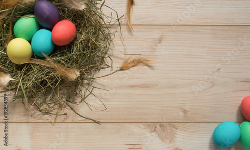 easter nest with colored eggs copy space