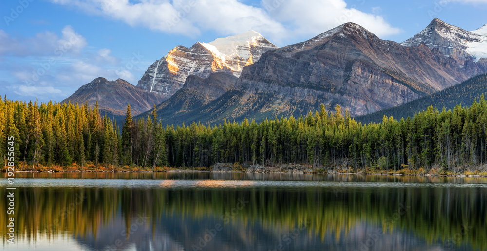 Autumn Herbert Lake on Icefields Parkway - Larch Trees