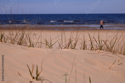 Nadmorskie wydmy, pierwszy plan nieostry, środkowy ostry z pojedynczymi trawami, w tle nieostra plaża, niebieskie morze, fale, mężczyzna uprawiający jogging