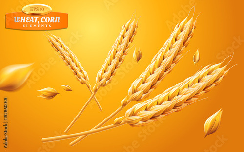 Detailed wheat ears, oats or barley isolated on a yellow background. Natural ingredient element. Healthy food or agriculture, bread or crop theme. Vector realistic 3d illustration.