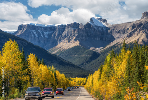 Line of Cars Golden Aspen Autumn colors on the Icefields Parkway - Banff National Park