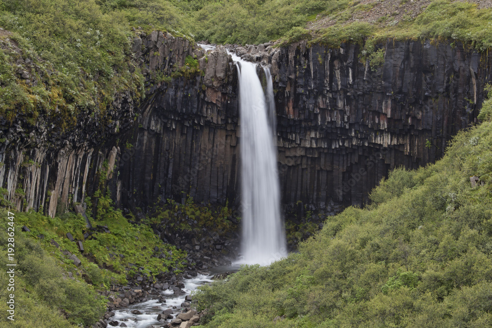 Svartifoss Waterfall Skaftafell