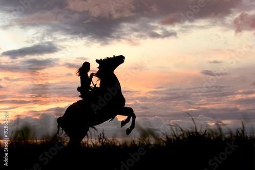 Photography Way to the top, start up, leader and freedom concept