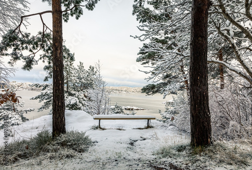Beautiful winter day at Odderoya in Kristiansand, Norway. Bench covered in snow, standing between two pine trees. The ocean in the background. photo