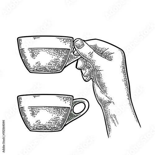 Female hand holding cup tea. Vintage black engraving