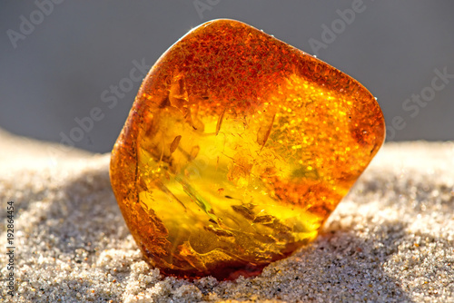 Fotografia Amber on a beach of the Baltic Sea