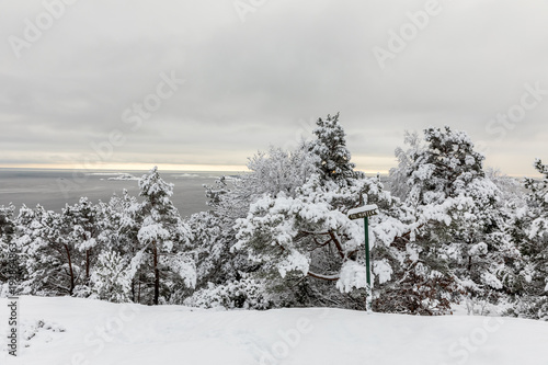 Beautiful winter day at Odderoya in Kristiansand, Norway. Pine trees covered in snow, a sign pointing to the cafe standing in front of the pinewood forest. The ocean in the background. photo