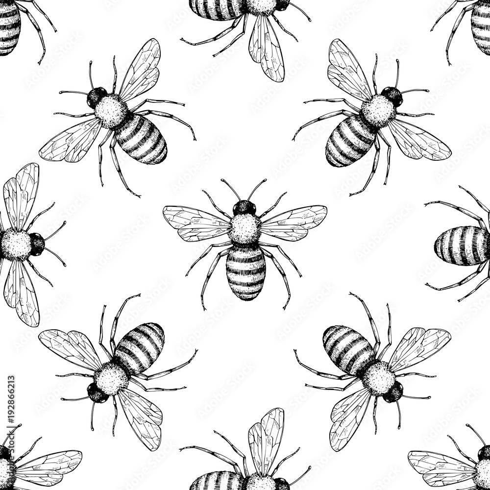 Bee vector seamless pattern. Hand drawn insect background. Stock Vector ...