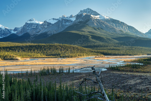 Saskatchewan River Crossing during Autumn golden hour of the Icefields Parkway photo