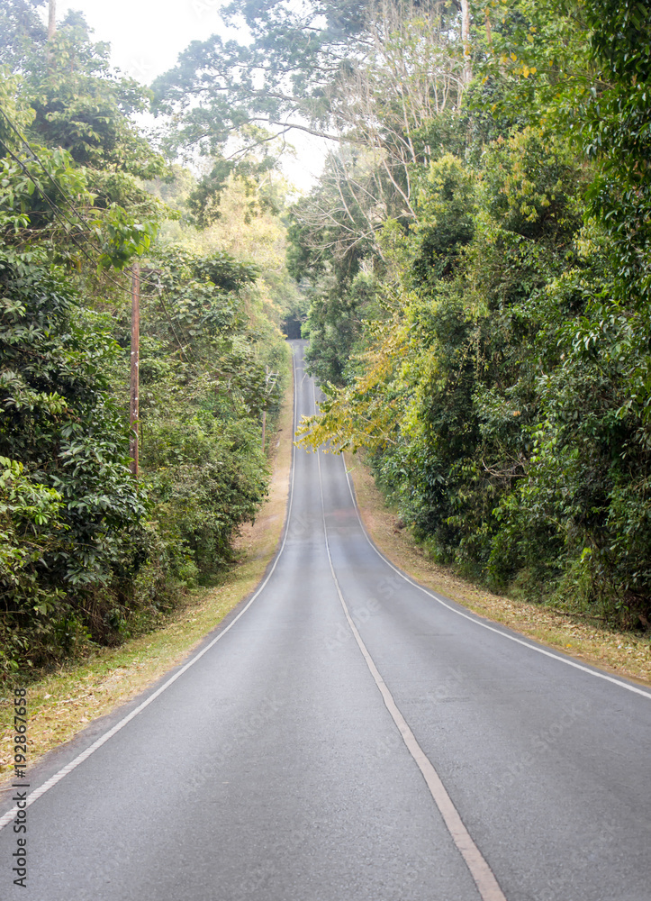 Curved road in the forest,Mountain View at Khao Yai, Pak Chong, Thailand