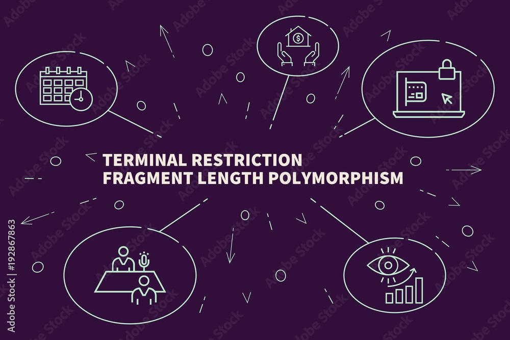 Business illustration showing the concept of terminal restriction fragment length polymorphism