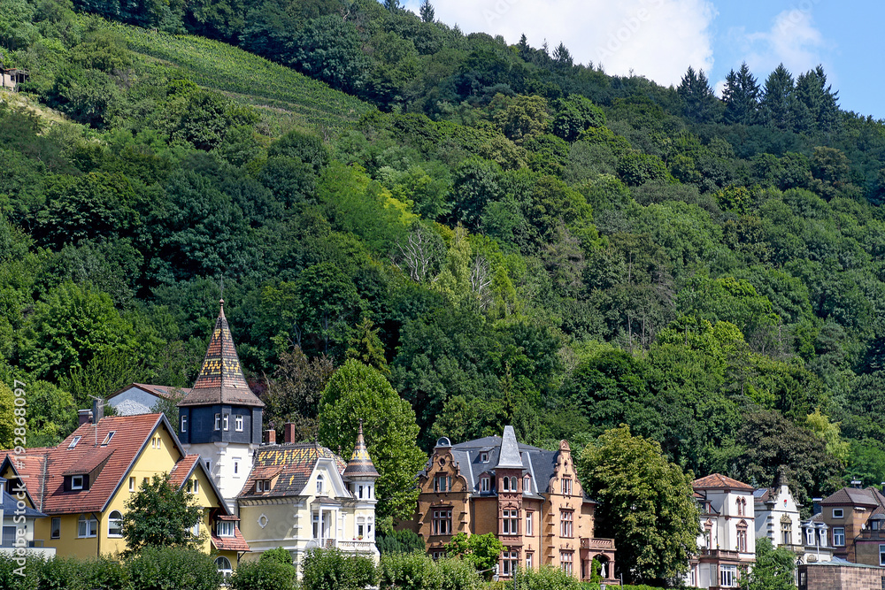 row of old homes at the bottom of a mountain in Heidelberg Germany