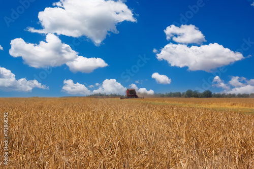 Combine harvester on a wheat field.