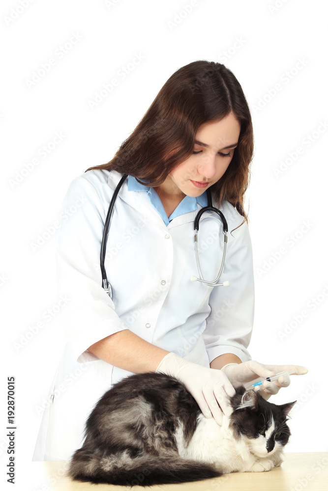 Veterinarian giving injection to a cat Veterinarian giving injection to a cat