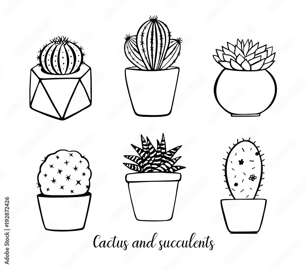 Vector hand drawn plants in pots. Decorated cactus and succulents ...