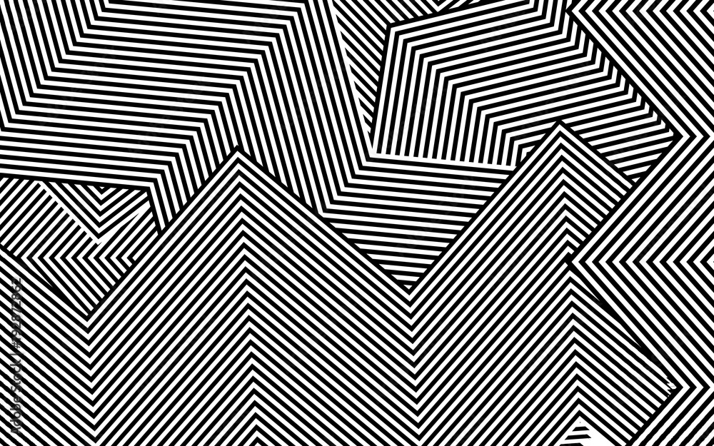 2692852 Zebra Design Black and White Stripes Vector