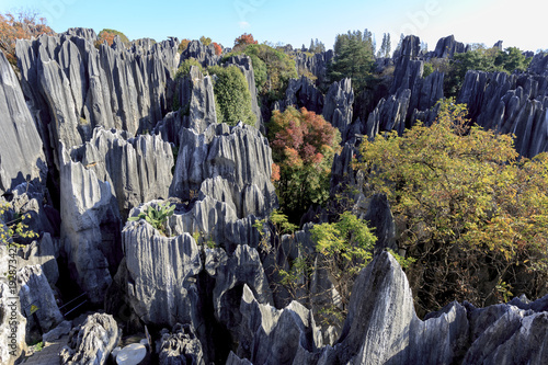 Stone forest near Kunming, Yunnan China photo