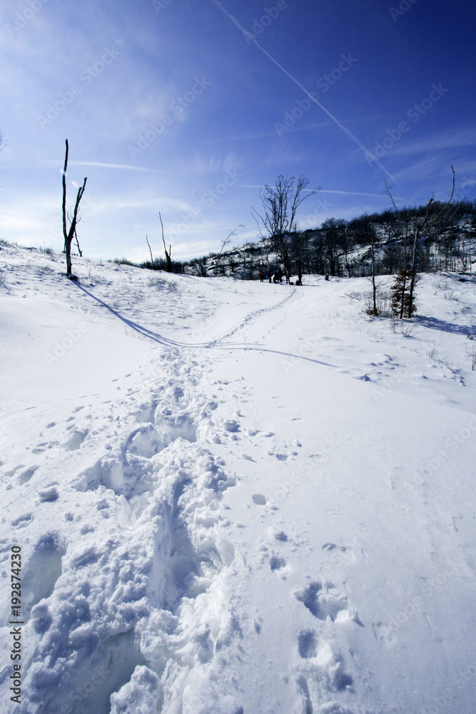 Gorski kotar winter landscape