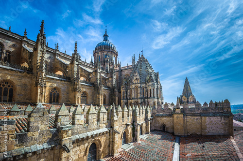 New cathedral or Catedral Nueva in Salamanca, Spain photo