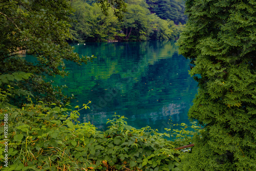 Blue karst lake  reflection of green foliage on the water