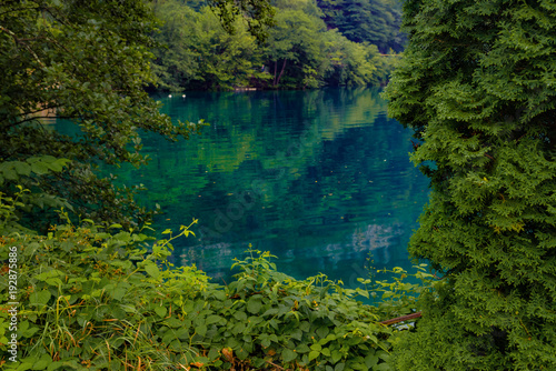 Blue karst lake, reflection of green foliage on the water