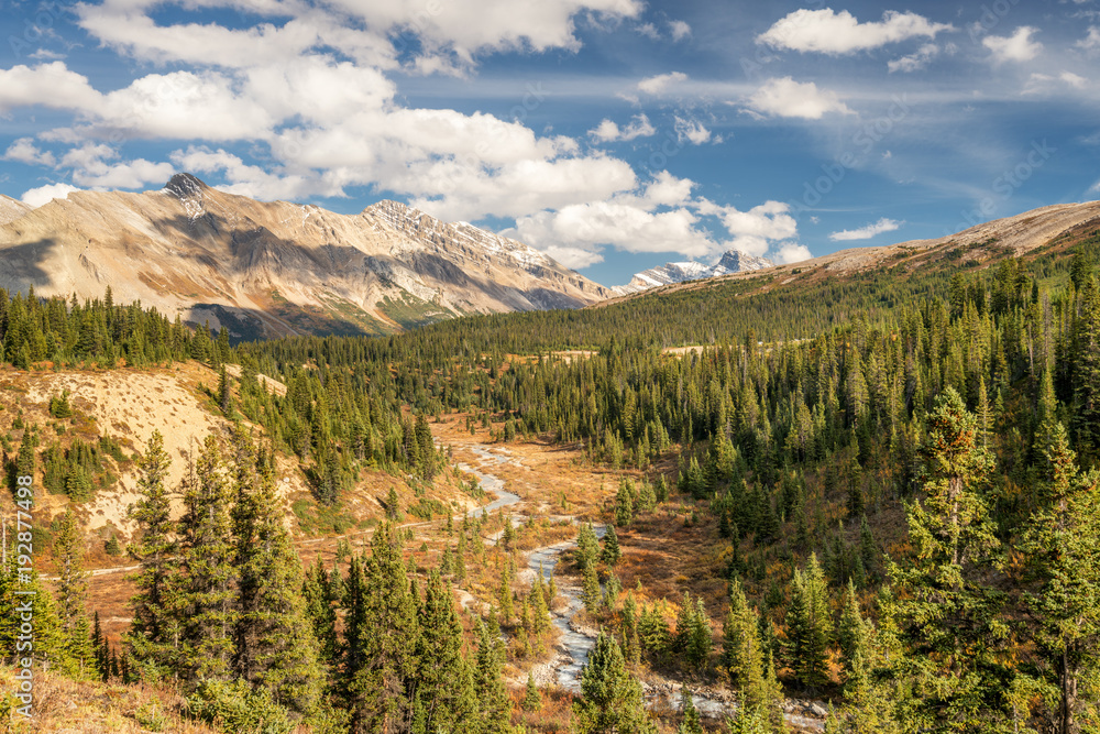 Fototapeta premium Autumn, Icefields Parkway valley view near Hilda Ridge - Banff National Park