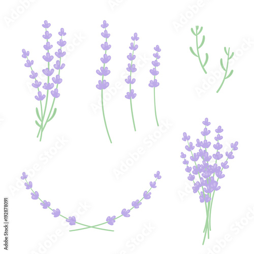 Lavender design set