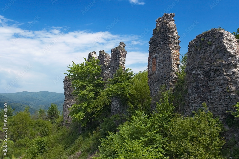 The ruins of the ancient castle
