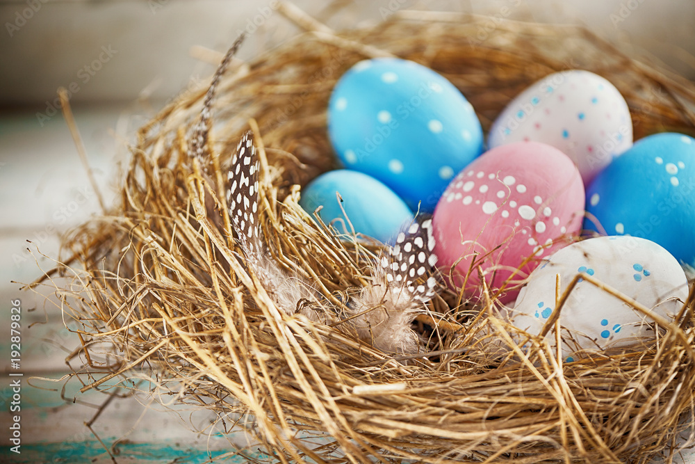 Rustic Blue, Red and White Egg in the Hay Nest Rustic Blue, Red and White Egg in the Hay Nest