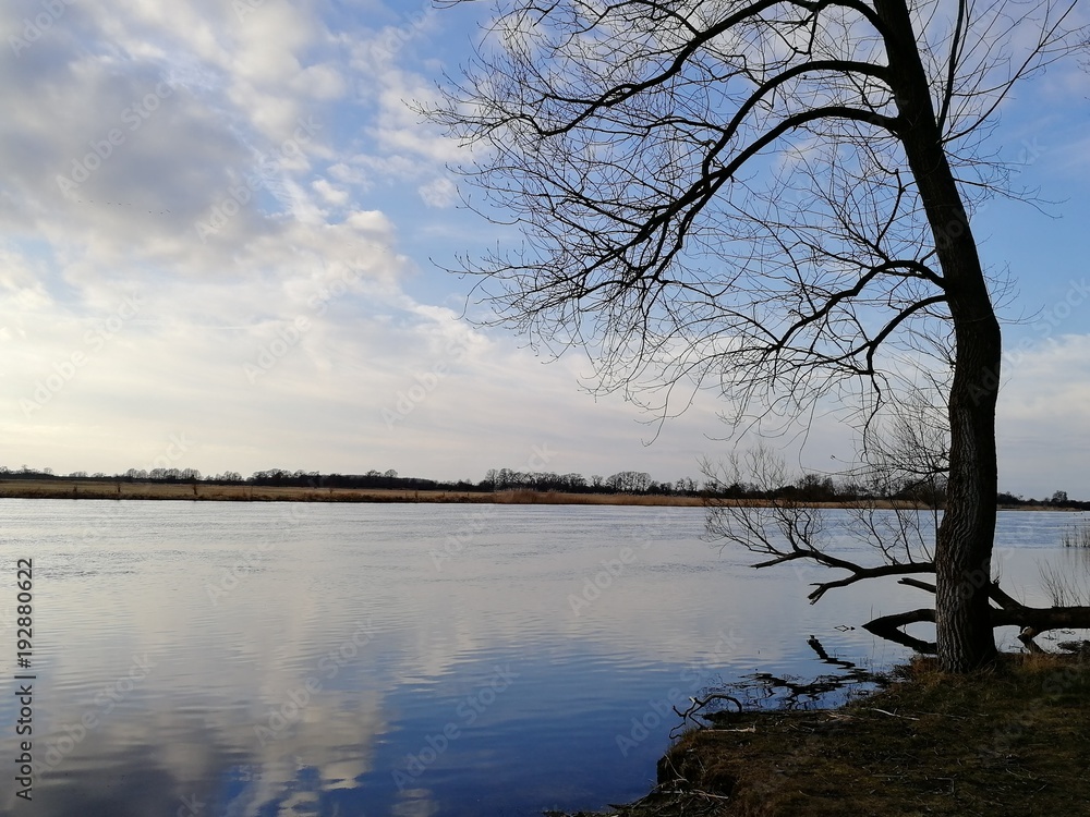 Winter an der Havel Winter an der Havel