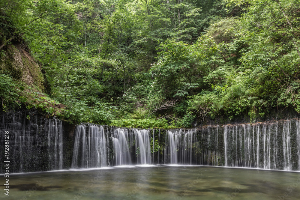 Shiraito Falls (Shiraito-no-taki) 3 Meters height waterfall but spread out over a 70 meter wide arch. Located north of Karuizawa, Shizuoka Prefecture, near Mount Fuji, Japan