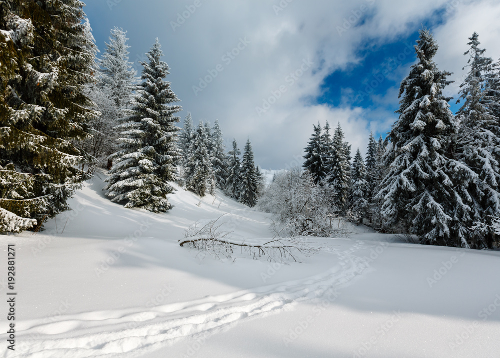 Winter mountain snowy landscape