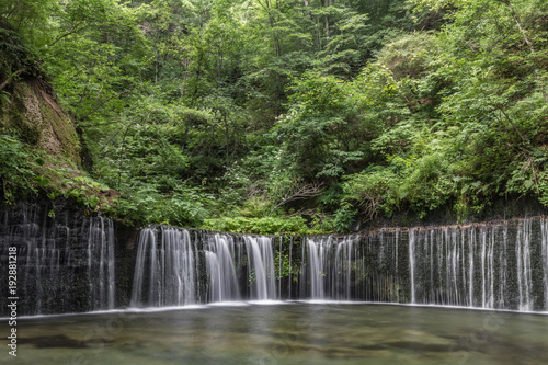 Fototapeta Naklejka Na Ścianę i Meble -  Shiraito Falls (Shiraito-no-taki) 3 Meters height waterfall but spread out over a 70 meter wide arch. Located north of Karuizawa, Shizuoka Prefecture, near Mount Fuji, Japan