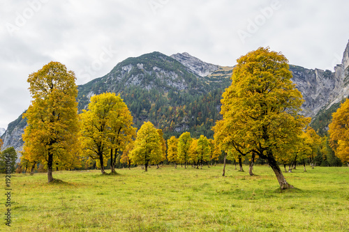 Fototapeta Naklejka Na Ścianę i Meble -  Österreich - Tirol - Herbst im Großen Ahornboden