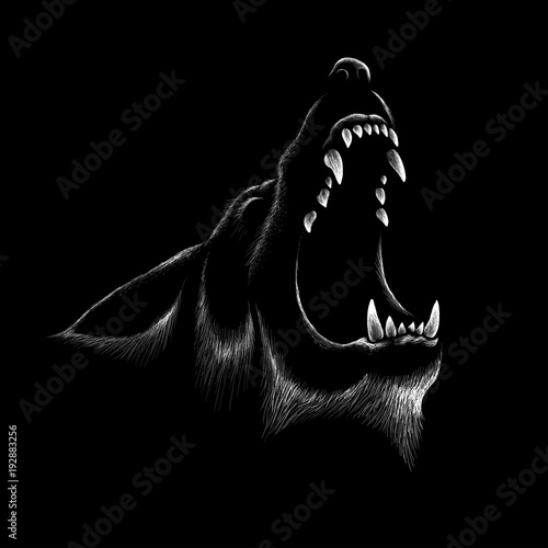Fototapeta Wilk z logo Vector do projektowania koszul lub odzieży wierzchniej. Tło wilk w stylu polowania.