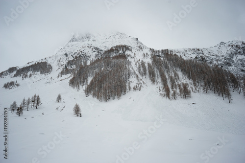 Panorami innevati photo