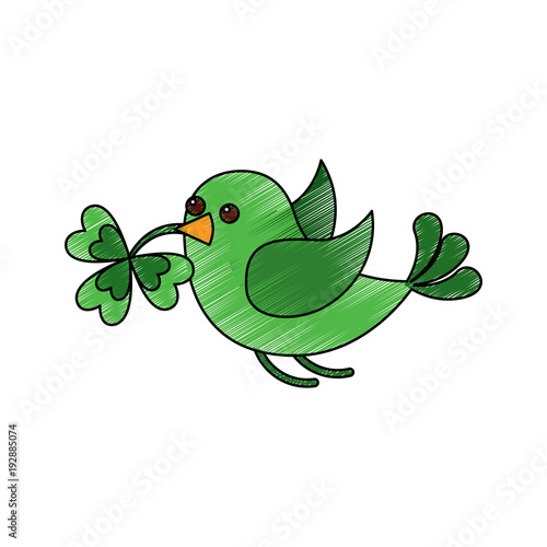 Fototapeta Naklejka Na Ścianę i Meble -  green bird flying with clover in beak vector illustration drawing image