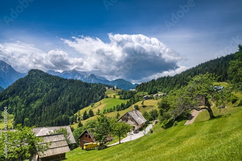 Solcava Panoramic Road in Summer